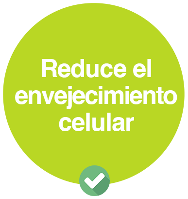YAMYAM reduce el envejecimiento celuluar